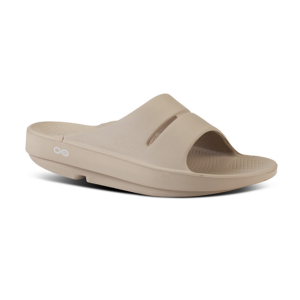 231-M1100-NOMA 01 231-M1100-NOMA 01