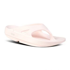 W1000-BLUS 1 W1000-BLUS 1