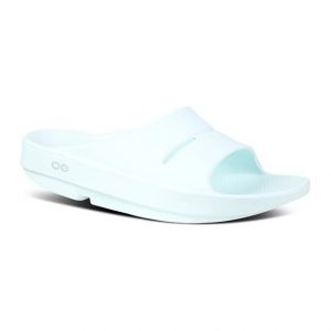 W1100-ICE 1 W1100-ICE 1